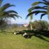 VILA PITTAS, Privatunterkunft im Ort Kefalonia, Griechenland - Vila Pittas Kefalonia