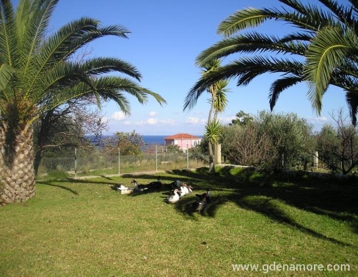 Vila Pittas Kefalonia
