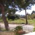 VILA PITTAS, Privatunterkunft im Ort Kefalonia, Griechenland - Vila Pittas Kefalonia