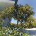 VILA KIKI RESORT, alojamiento privado en Pefkohori, Grecia - Vila Kiki Resort Pefkohori