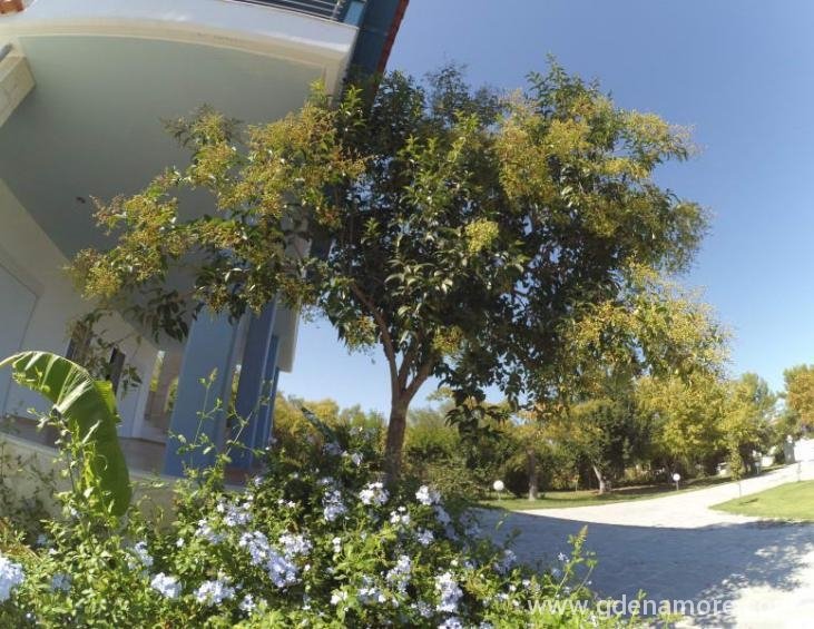Vila Kiki Resort Pefkohori