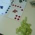 Apartmani i sobe Igalo, Privatunterkunft im Ort Igalo, Montenegro - Društvene igre / Board games