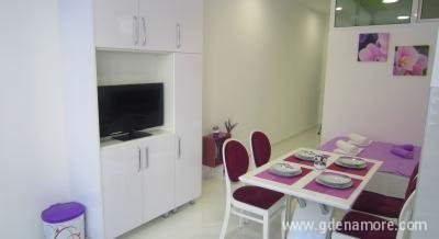 Apartmani „BISER“ Bečići, Privatunterkunft im Ort Bečići, Montenegro