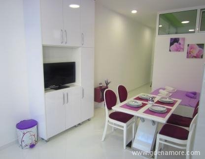Apartmani &bdquo;BISER&ldquo; Bečići, частни квартири в града Bečići, Черна Гора