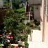 Apartmani, , logement privé à Herceg Novi, Monténégro - Basta