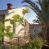 Privatni smjestaj Djordjevic, , private accommodation in city Bečići, Montenegro