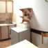 3 apartmana u Igalu, , logement privé à Igalo, Monténégro