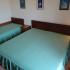 Apartmani Maslina, , частни квартири в града Herceg Novi, Черна Гора