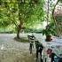 Apartments Igalo, , private accommodation in city Igalo, Montenegro