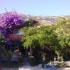 Apartmani u Sutomoru, , logement privé à Sutomore, Monténégro