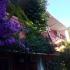 Apartmani u Sutomoru, , logement privé à Sutomore, Monténégro