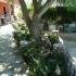 Apartmani u Sutomoru, , logement privé à Sutomore, Monténégro