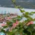 Tadic Igalo, , private accommodation in city Igalo, Montenegro