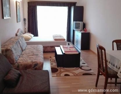 Apartmani Krivokapić, ενοικιαζόμενα δωμάτια στο μέρος Budva, Montenegro