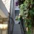 Vila Todor, , Privatunterkunft im Ort Herceg Novi, Montenegro