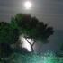 Villa Oasis, Magán szállás a községben Nea Potidea, G&ouml;r&ouml;gorsz&aacute;g - full moon