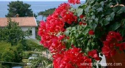 Apartmani SANJA, Privatunterkunft im Ort Poreč, Kroatien