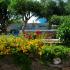 Studios Petra, private accommodation in city Naxos, Greece - Studios Petra (garden)
