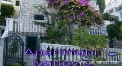 Apartmani Ivanovic, Privatunterkunft im Ort Petrovac, Montenegro