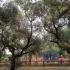 Armonia Studios, Privatunterkunft im Ort Zakynthos, Griechenland - playground
