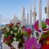 Hotel Elit, private accommodation in city Kiten, Bulgaria - Outside