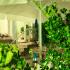 Hotel Elit, private accommodation in city Kiten, Bulgaria - Outside