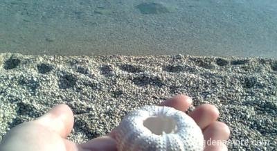 Studio apartmani Marin Ivanac, Privatunterkunft im Ort Brela, Kroatien