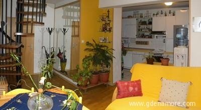 apartman, Privatunterkunft im Ort Ohrid, Mazedonien