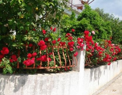 Divna, Privatunterkunft im Ort Orebić, Kroatien - 1