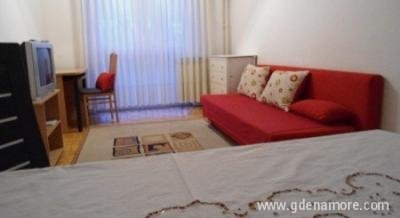 Apartman u Zagrebu,Trešnjevka, Частный сектор жилья Загреб, Хорватия