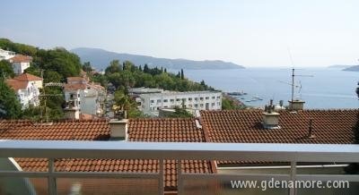 David, Privatunterkunft im Ort Herceg Novi, Montenegro