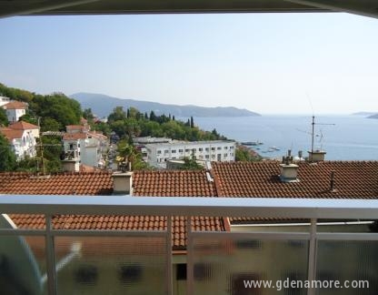 David, Privatunterkunft im Ort Herceg Novi, Montenegro