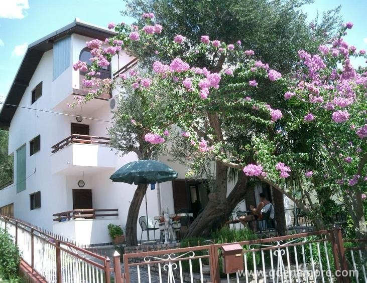 vila filipovic