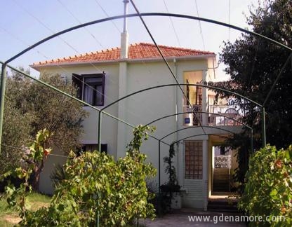 Apartmani Jadranka Bibinje, Privatunterkunft im Ort Bibinje, Kroatien - APARTMAN AP1