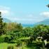 Apartments Igalo, private accommodation in city Igalo, Montenegro - Pogled sa terase
