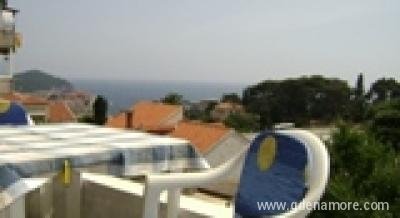 Dubrovnik apartmani, Privatunterkunft im Ort Dubrovnik, Kroatien