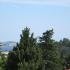 Privatni smestaj, logement privé à Sutomore, Mont&eacute;n&eacute;gro